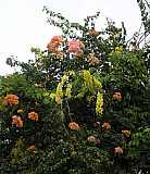 050115_145531.jpg