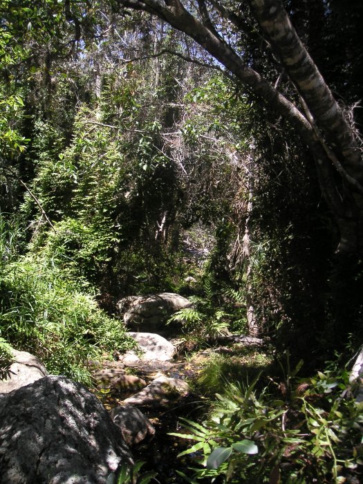 041014-170453.jpg